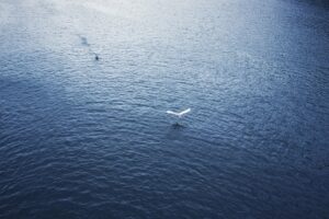 Photo dreaming of flying above water