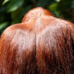 Photo hair colorist profession