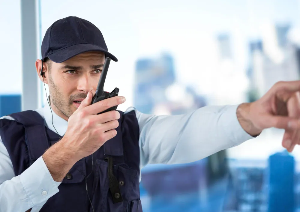Ce măsuri iau firmele de securitate pentru a preveni accesul neautorizat?