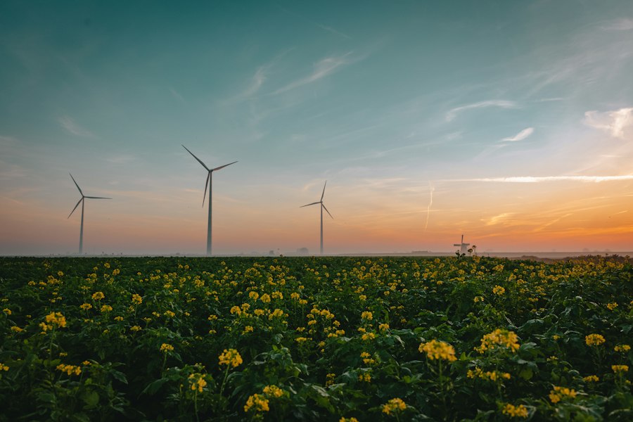energy independence