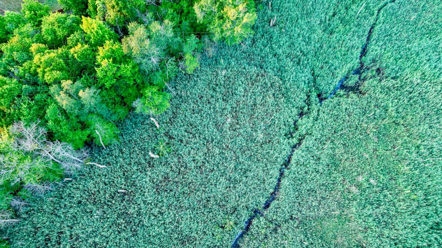 environmental impact assessment