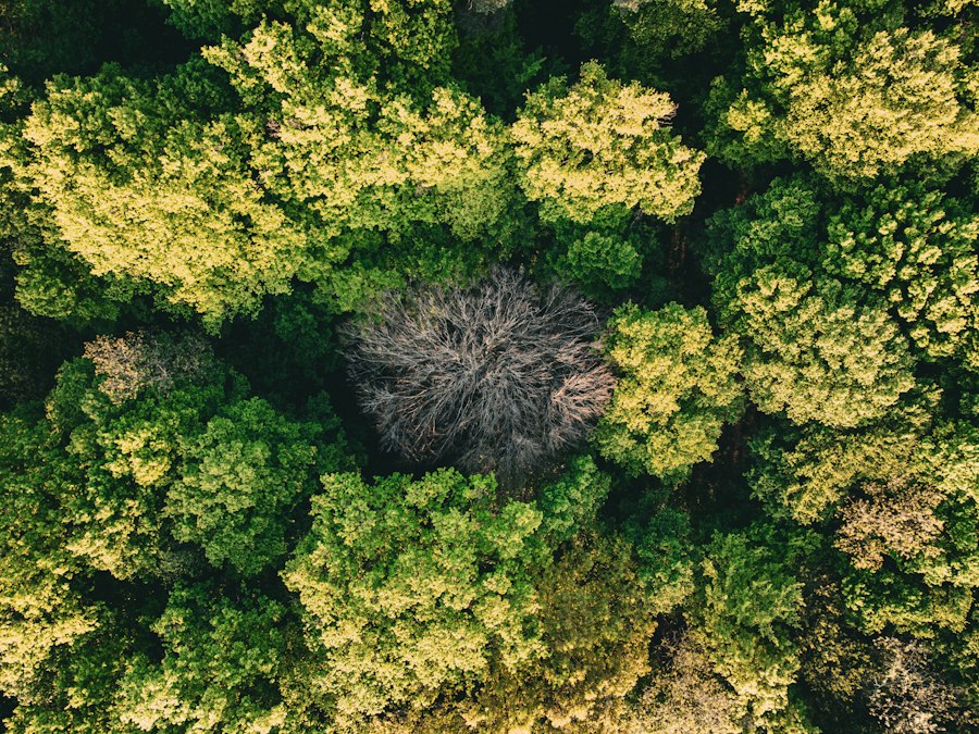 Photo environmental impact assessment