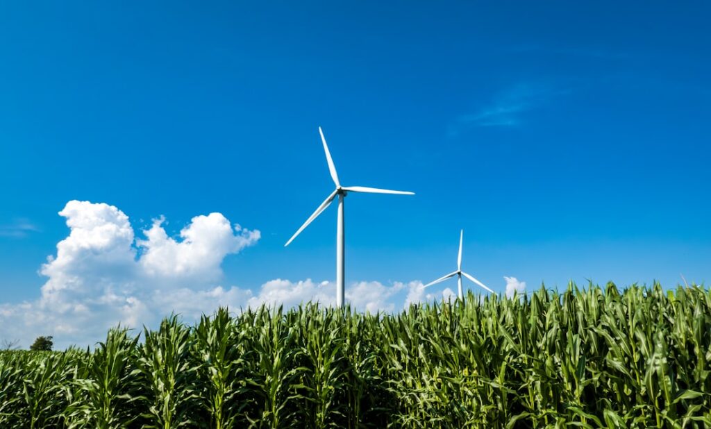 Photo carbon credits