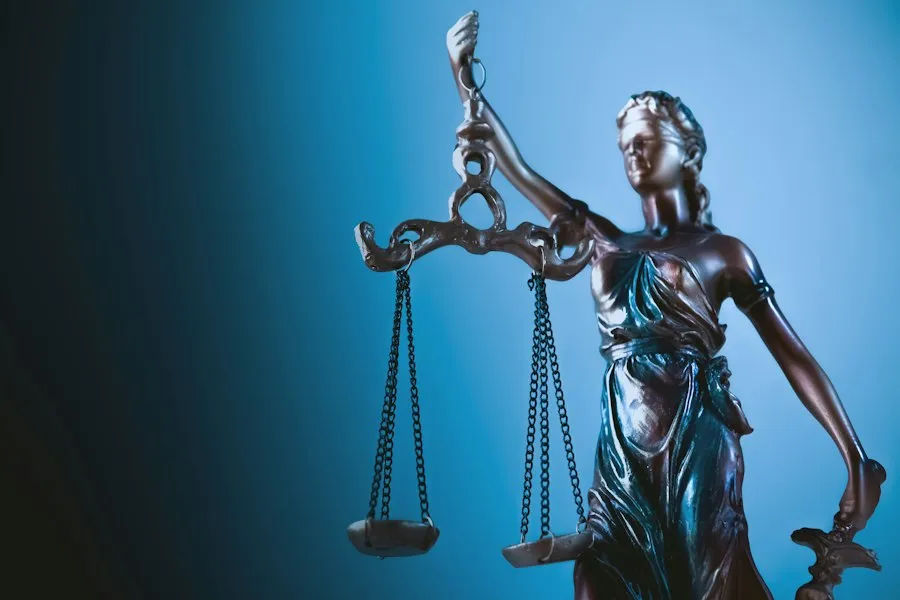 right to information law